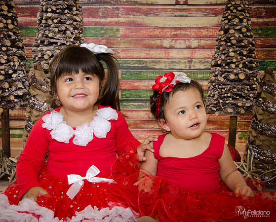 Navidad 2014-1572