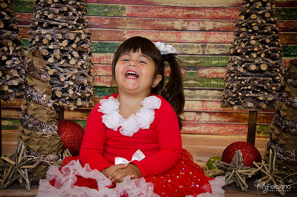 Navidad 2014-1615