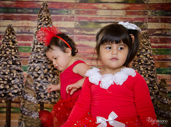 Navidad 2014-1698