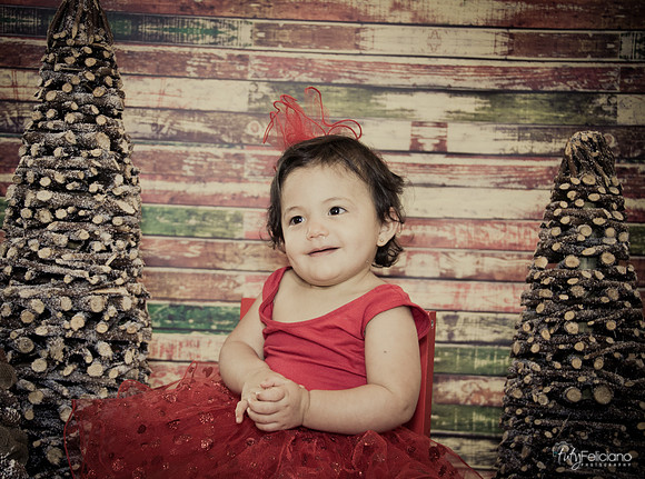 Navidad 2014-1720
