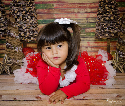 Navidad 2014-1659