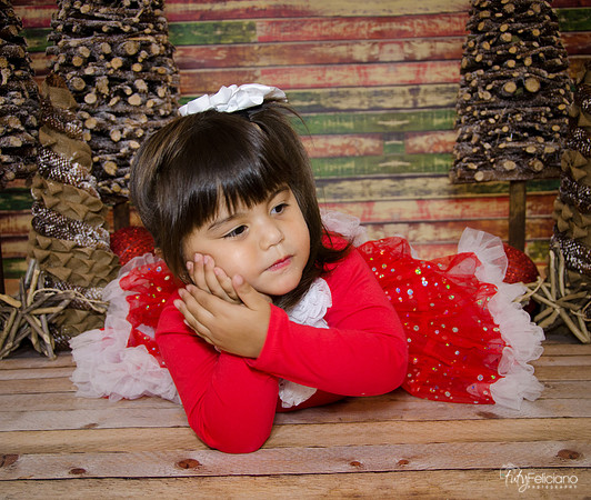 Navidad 2014-1661