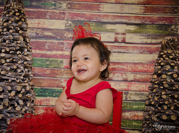 Navidad 2014-1716