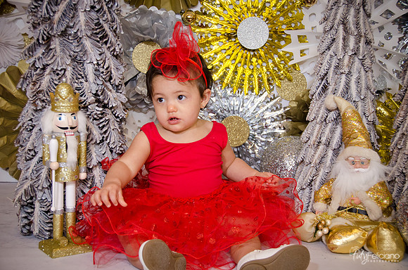 Navidad 2014-1857