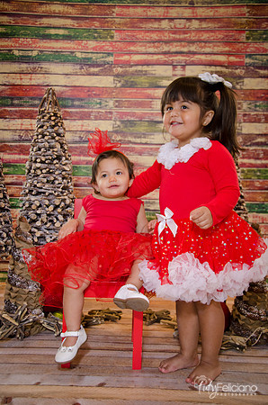 Navidad 2014-1776