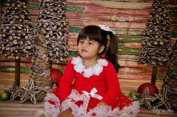 Navidad 2014-1603