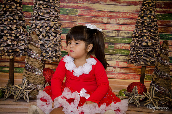 Navidad 2014-1598