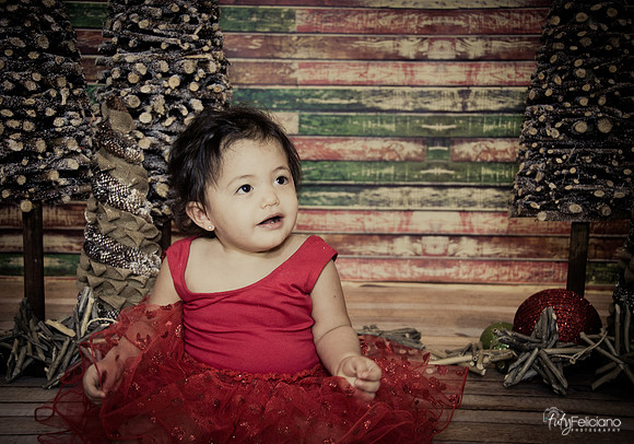 Navidad 2014-1691