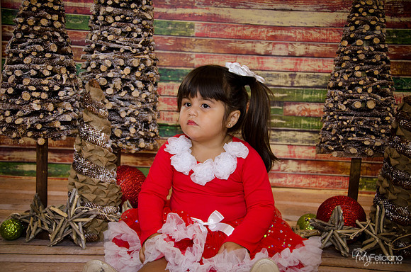 Navidad 2014-1600