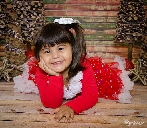 Navidad 2014-1666