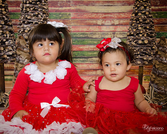 Navidad 2014-1569