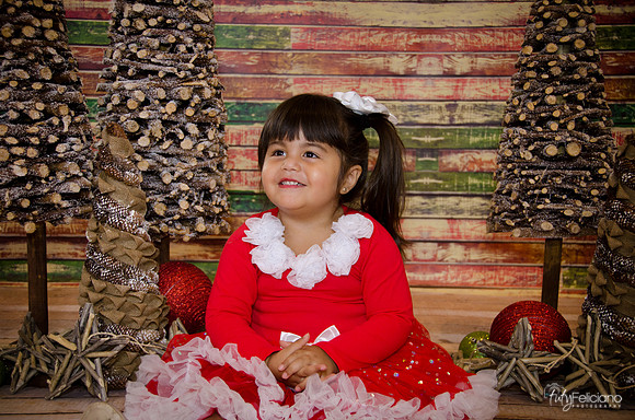 Navidad 2014-1614