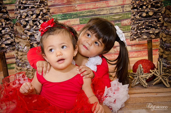 Navidad 2014-1528