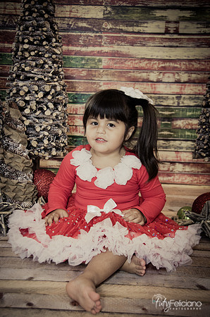 Navidad 2014-1650