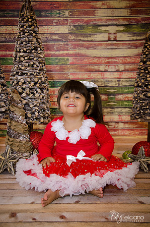 Navidad 2014-1643
