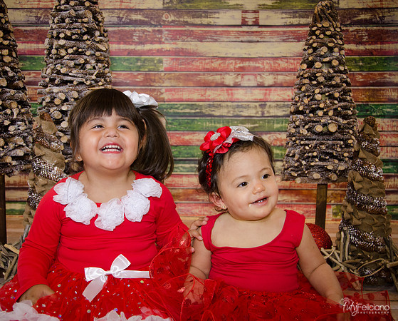 Navidad 2014-1580