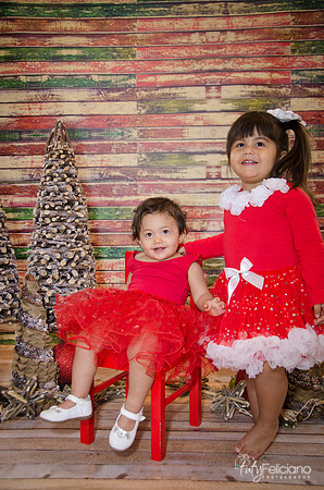 Navidad 2014-1754