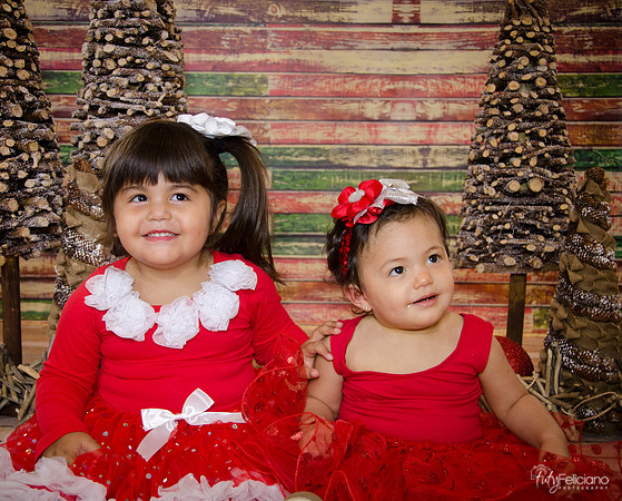 Navidad 2014-1577