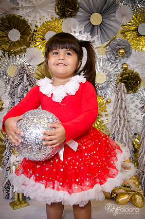 Navidad 2014-1849
