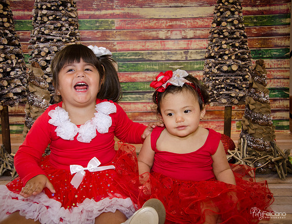 Navidad 2014-1587