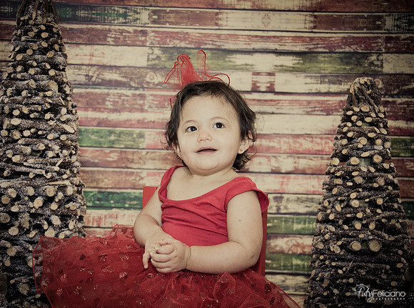 Navidad 2014-1724