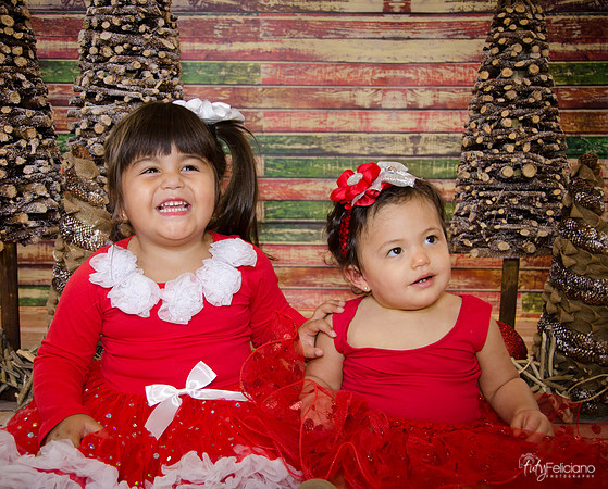 Navidad 2014-1573