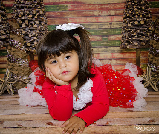 Navidad 2014-1662