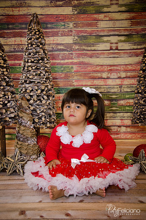 Navidad 2014-1642