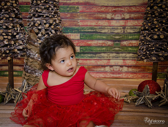 Navidad 2014-1685