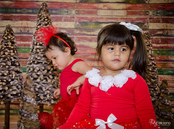 Navidad 2014-1699