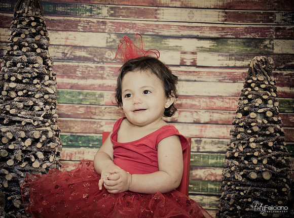 Navidad 2014-1722
