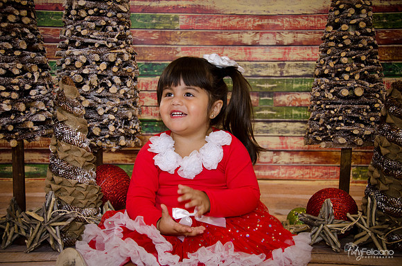 Navidad 2014-1612