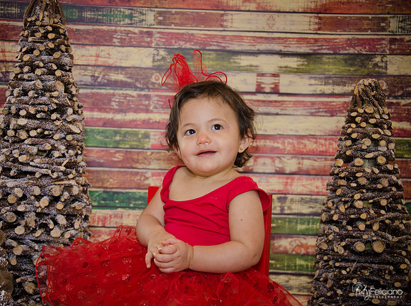 Navidad 2014-1723