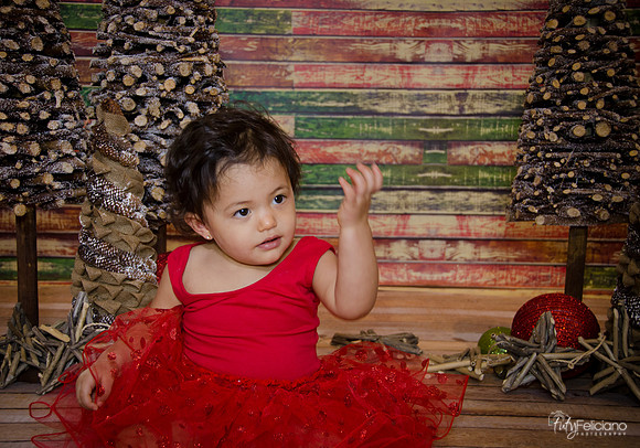 Navidad 2014-1692