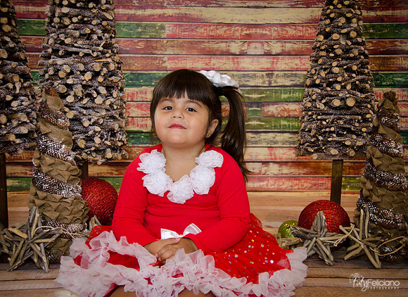 Navidad 2014-1626
