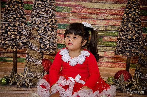 Navidad 2014-1604