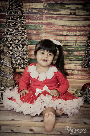 Navidad 2014-1653