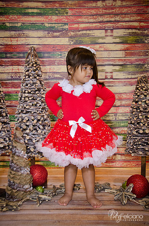 Navidad 2014-1780