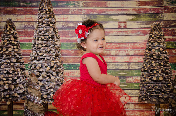 Navidad 2014-1676