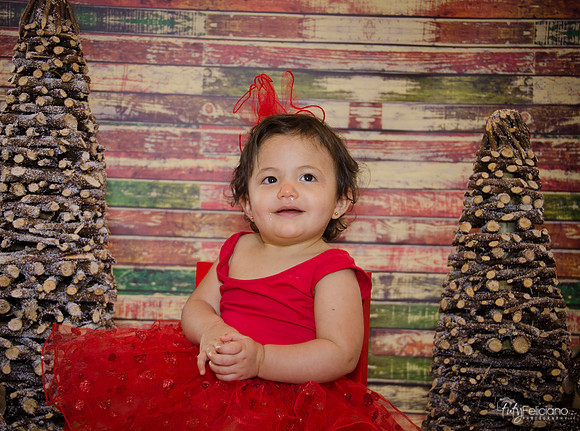 Navidad 2014-1725
