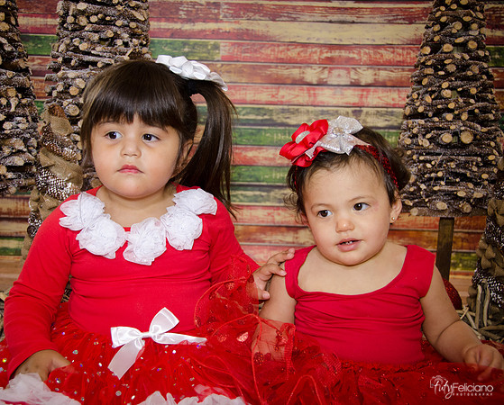 Navidad 2014-1565