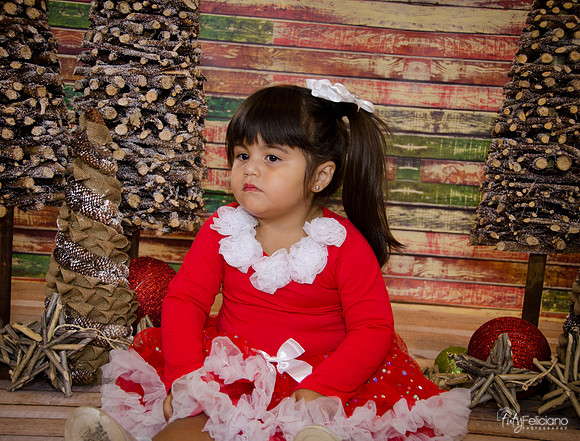 Navidad 2014-1595