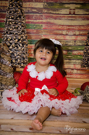 Navidad 2014-1652