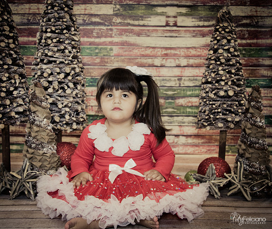 Navidad 2014-1630