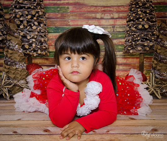 Navidad 2014-1657