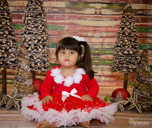 Navidad 2014-1628