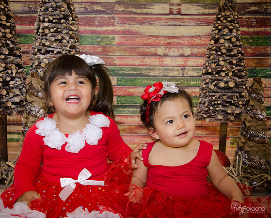 Navidad 2014-1578