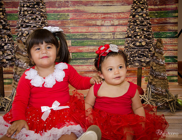 Navidad 2014-1591