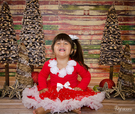 Navidad 2014-1631