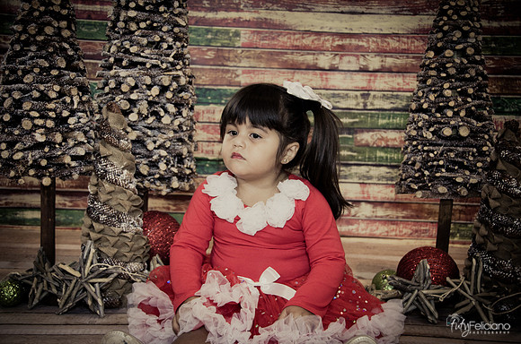 Navidad 2014-1601